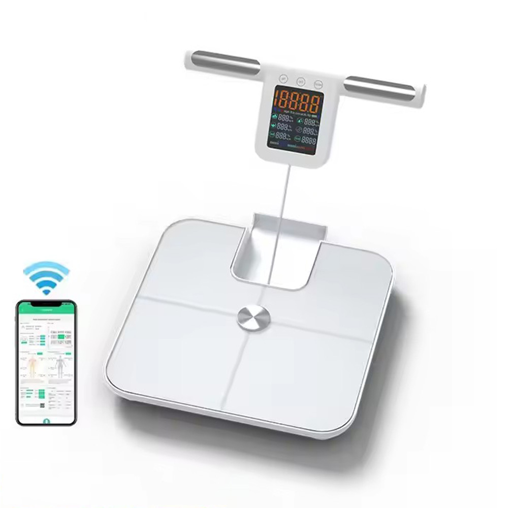 Báscula inteligente de grasa c - Body Fat Scale Smart reseña y precio