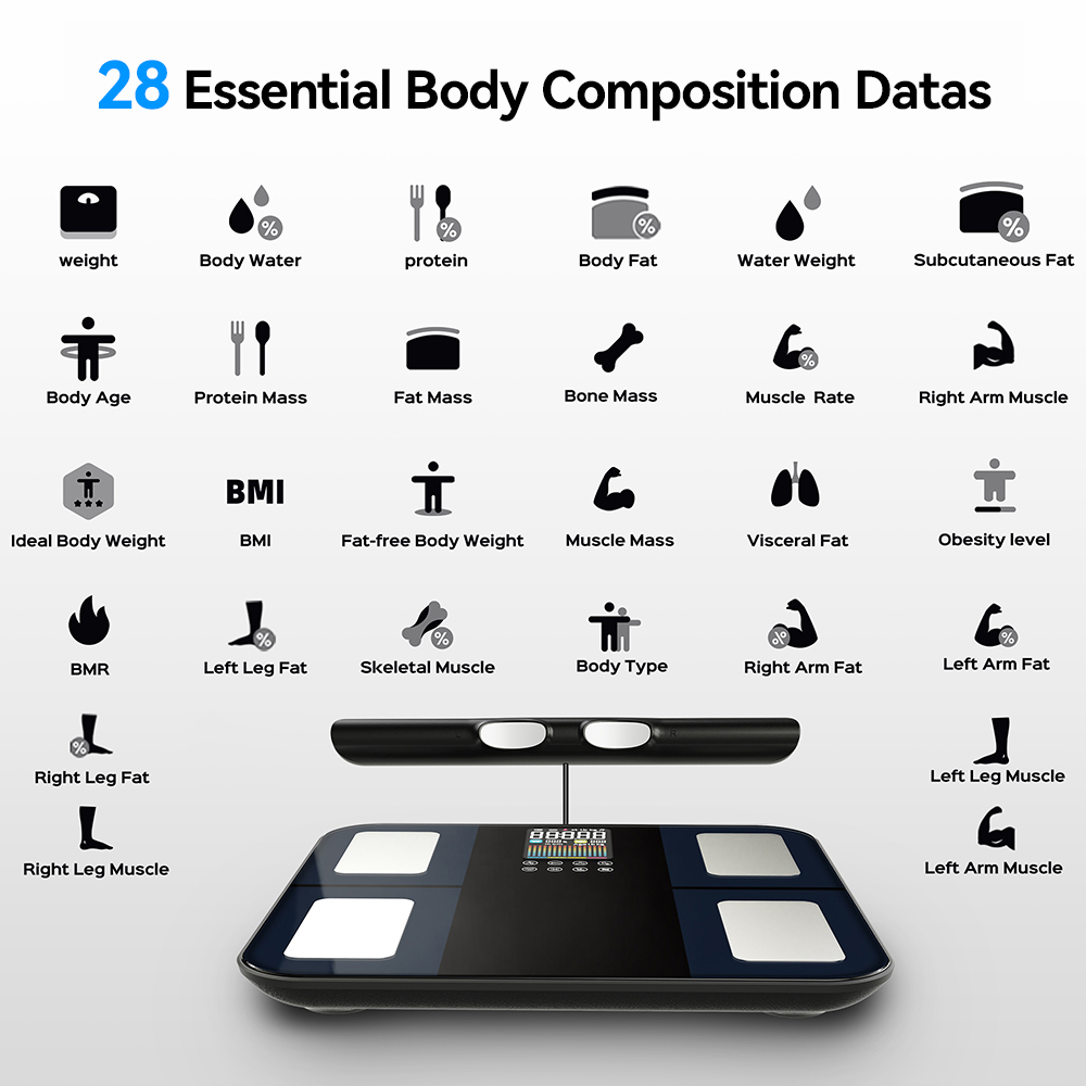 Báscula Inteligente de Composi - Body Fat Scale Smart reseña y precio